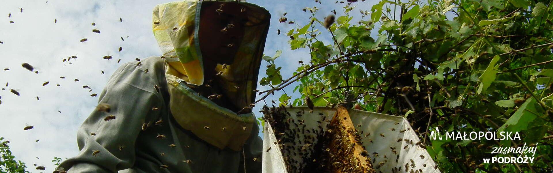 A beekeeper at work in beekeeping outfit, lots of flying bees all around, the Małopolska logo in bottom right corner and the inscription ‘Enjoy the journey’