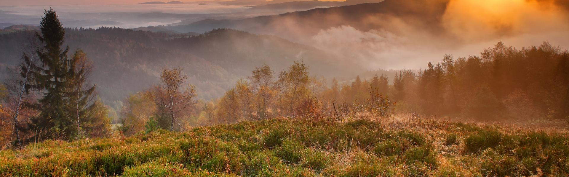 Widok z Błyszcza na Beskid Sądecki