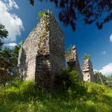Ruiny średniowiecznego zamku w formie pozostałości po kamiennych murach - trzy ściany z białego kamienia  pośród drzew.