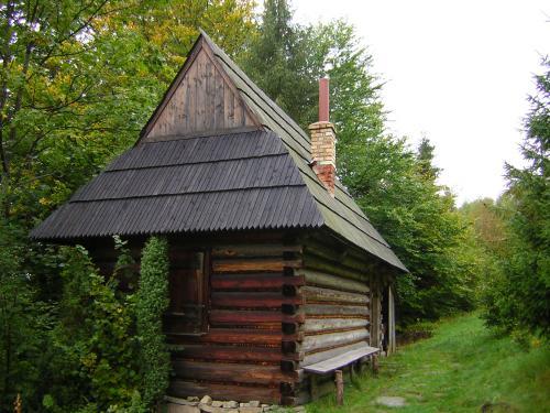 Mały drewniany domek budowany na zrąb, kryty spadzistym dachem, pośród zielonych drzew.