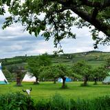 Kolorowe indiańskie namioty rozstawione na zielonej łące wśród drzew, w tle pagórki.