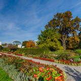 Obrazek: Alejki Ogród Botaniczny Kraków