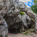Immagine: Grotta del Mammut