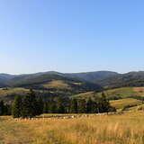 Letnia panorama okolic Wąwozu Homole.