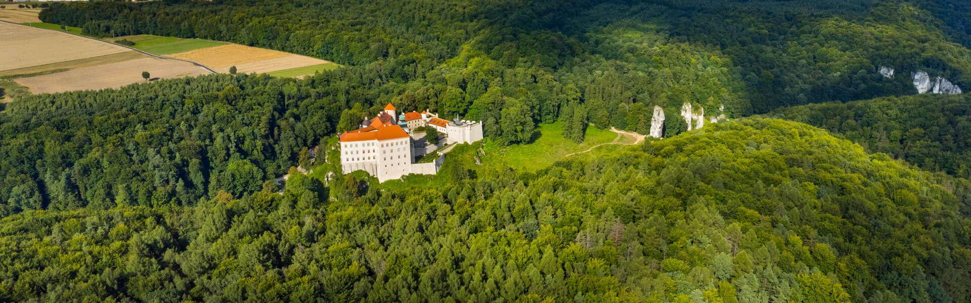 Dolina Prądnika w Ojcowskim Parku Narodowym. W tle zamek w Pieskowej Skale, w oddali zabudowania domów.
