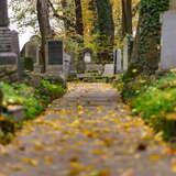 Chodnik na cmentarzu, przysypany jesiennymi liśćmi. Po obu stronach chodnika znajdują się nagrobki oraz pnie drzew.