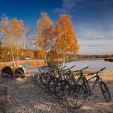 Rowery z wypożyczalni oraz przyczepki rowerowe na tle jeziora i drzew w jesiennych barwach.