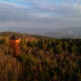 Drewniana wieża widokowa Modyń pośrodku lasu na wzgórzu w Beskidzie Wyspowym.